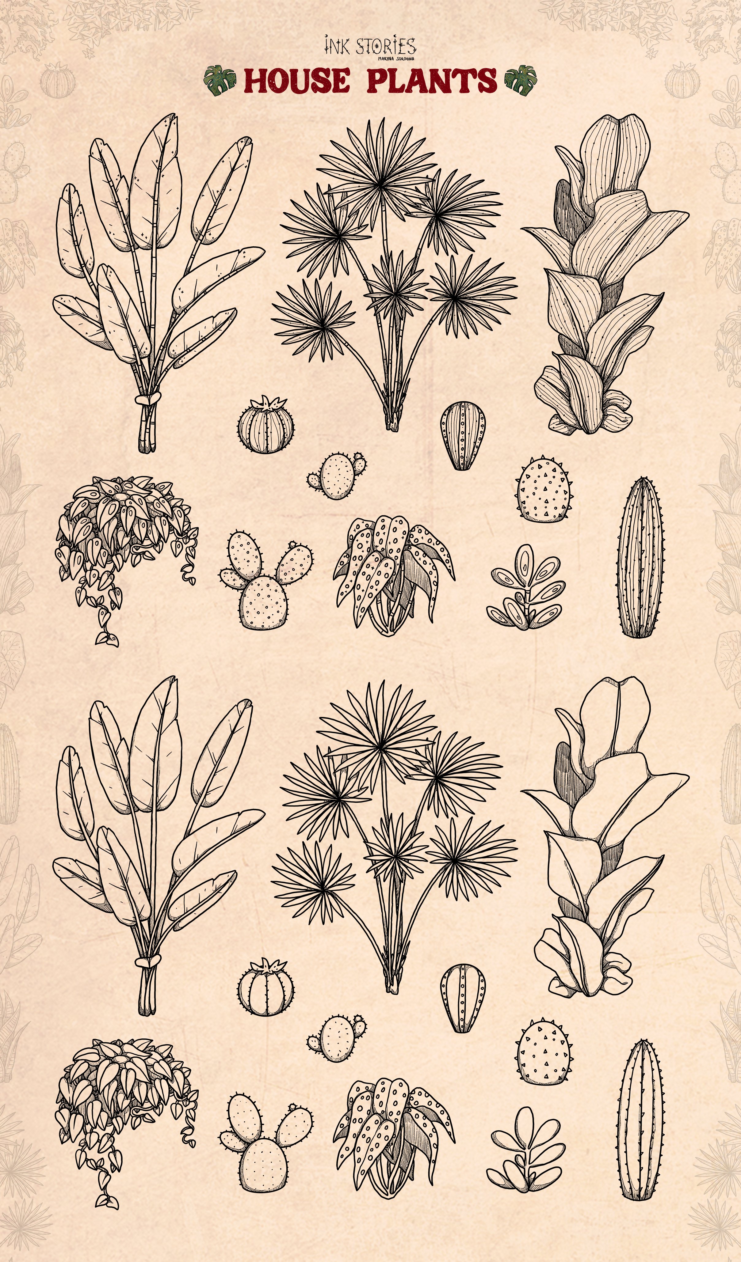 Bunch of plants that are drawn on a piece of paper.