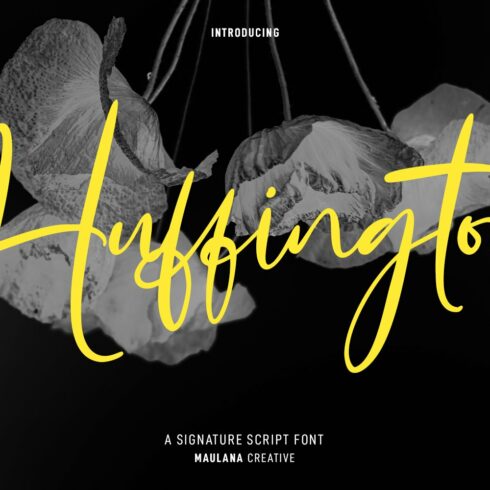 Huffington Signature Script Font cover image.