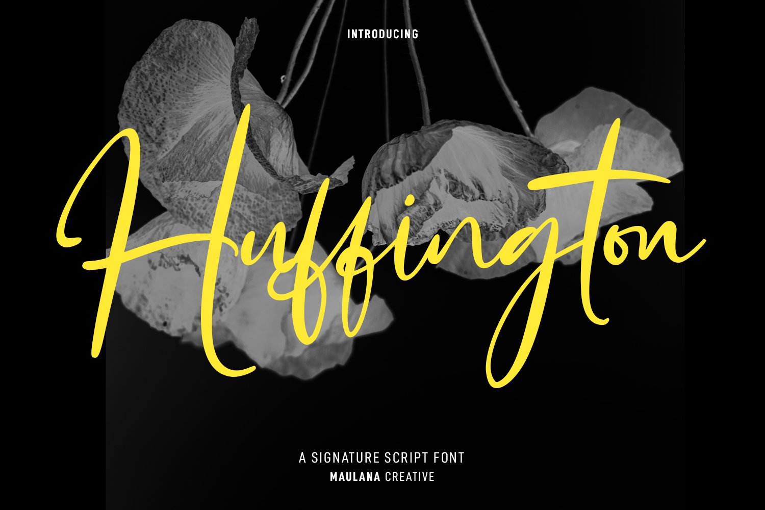 Huffington Signature Script Font cover image.