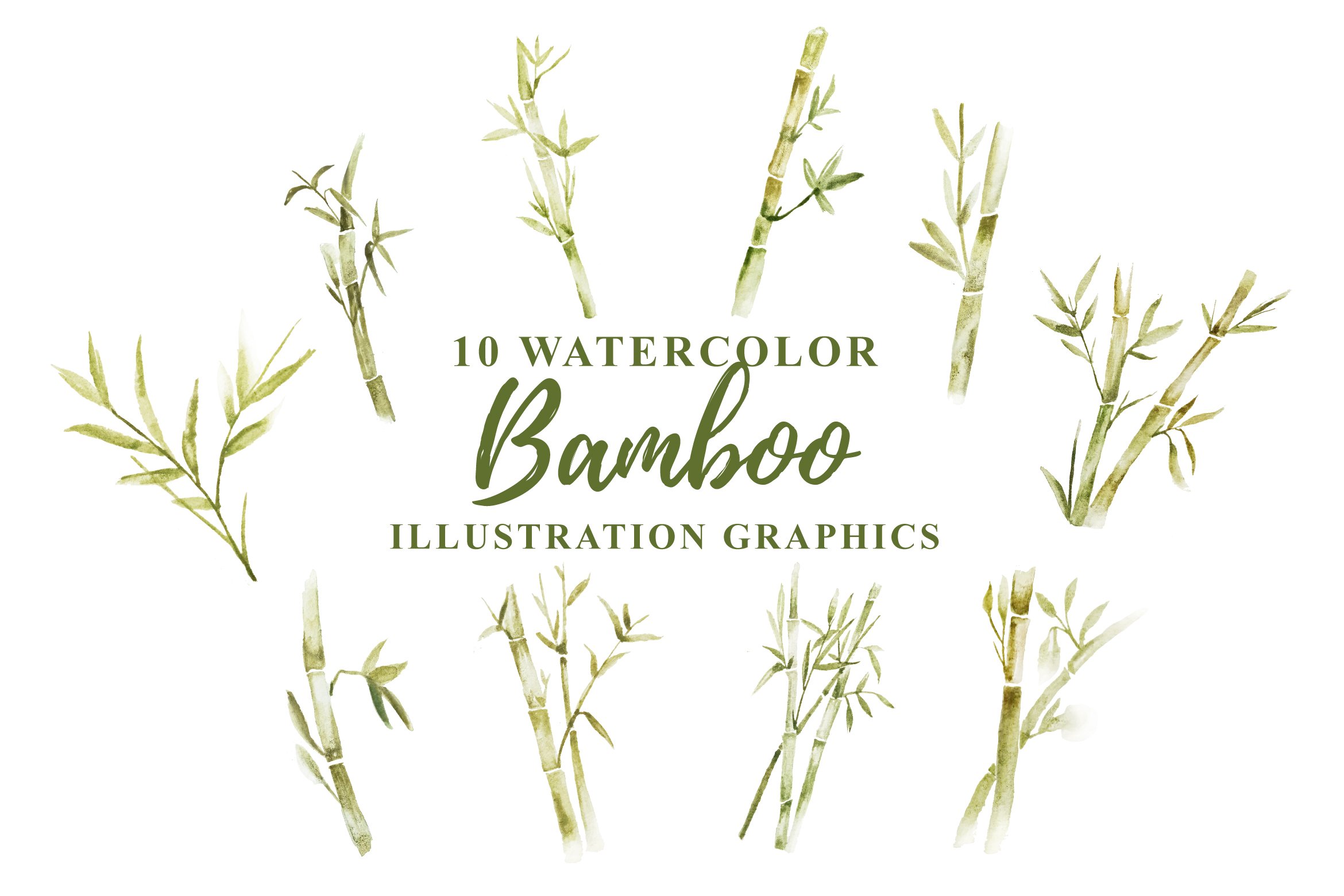 Bunch of bamboo plants with the words 10 watercolor bamboo illustration graphics.