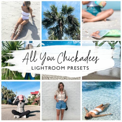 All You Chickadees Lightroom Presetcover image.