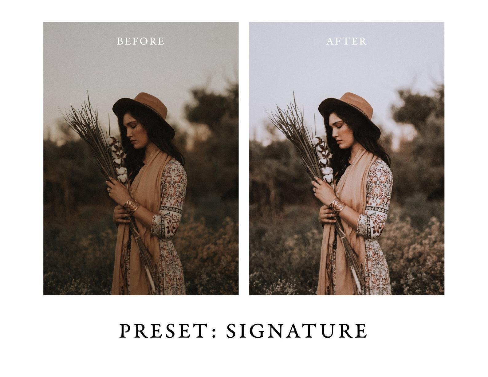 Vibrant + Moody Lightroom Presets Ipreview image.