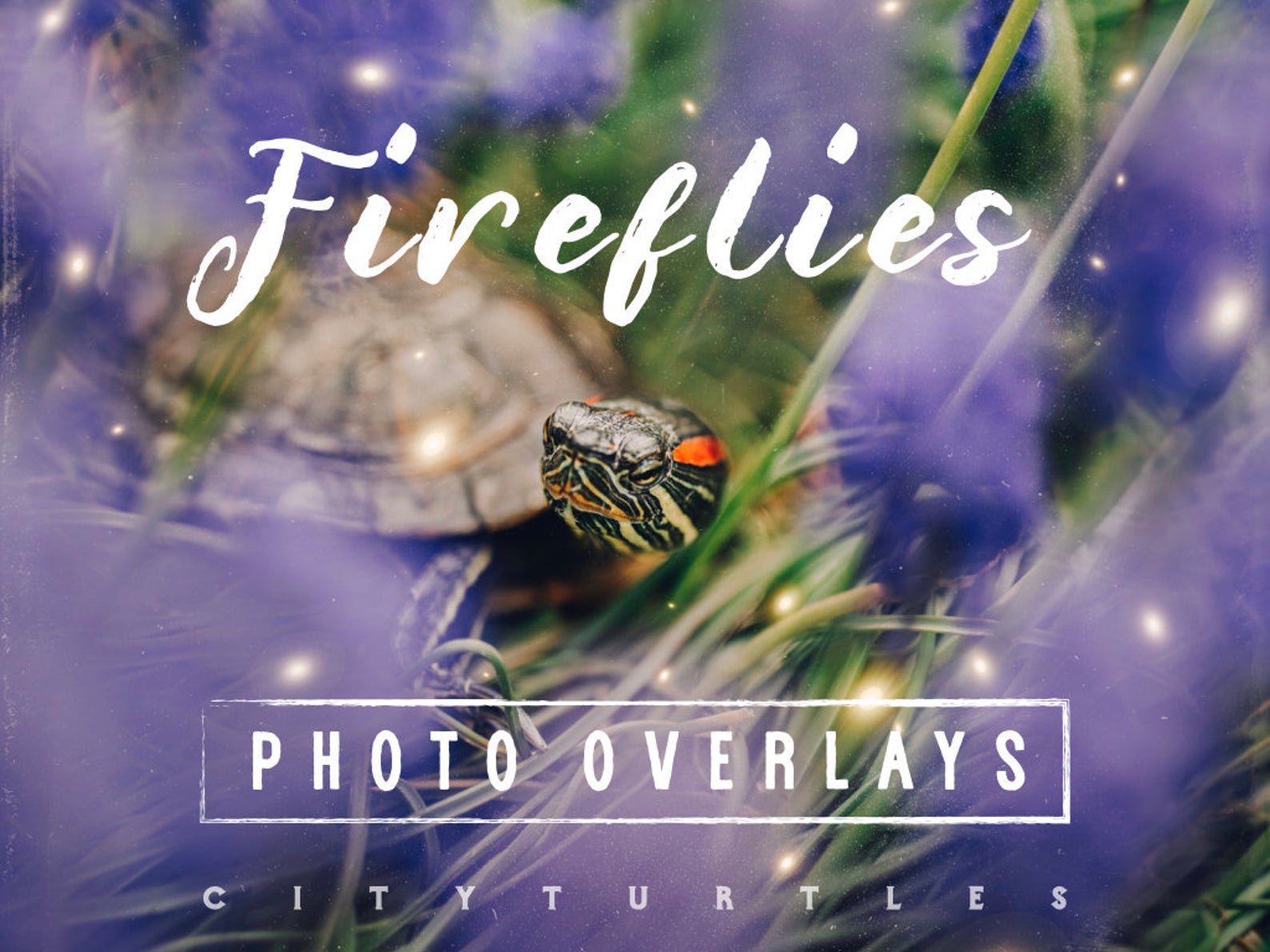 30 Dreamy Firefly Photo Overlayscover image.