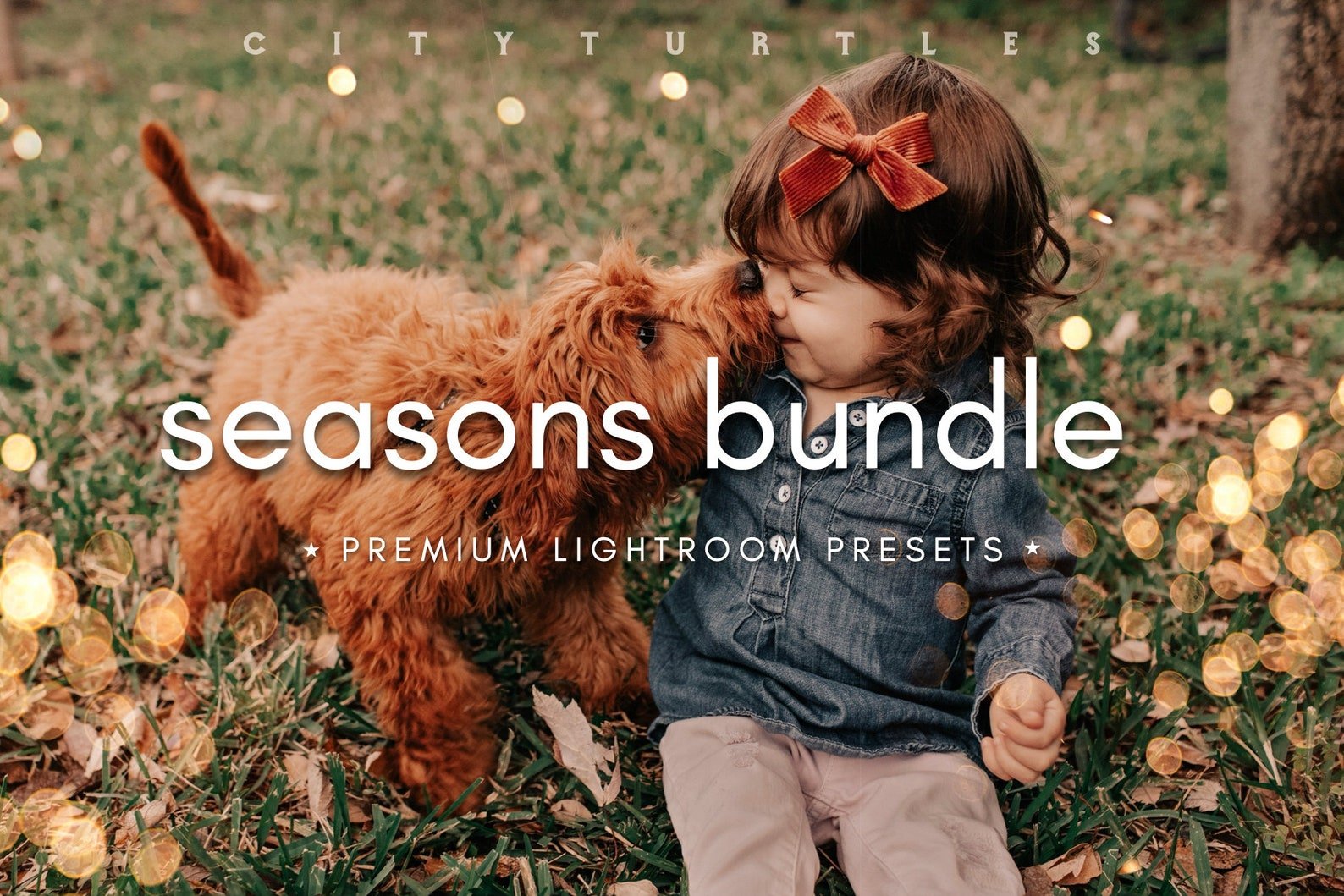 THE SEASONS BUNDLE Lightroom Presetscover image.