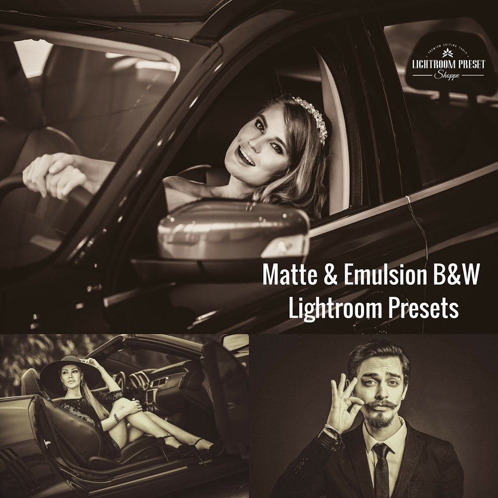 B&W Lightroom Presets Bundlepreview image.
