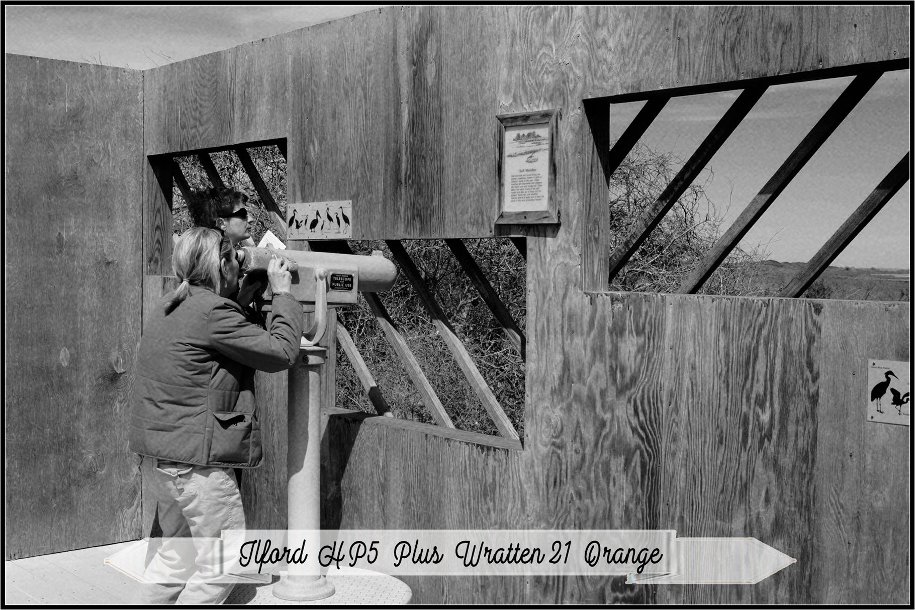 ilford hp5 plus wratten 21 orange 567