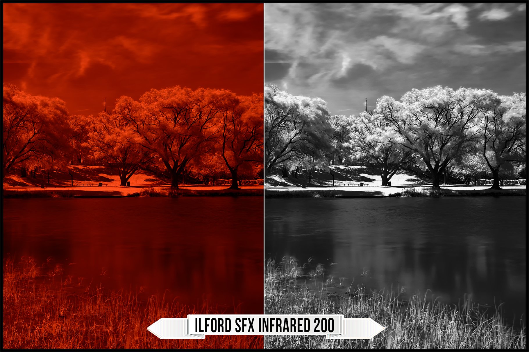 ilford sfx infrared 200 283