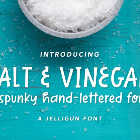 Salt & Vinegar | A Spunky Block Font cover image.