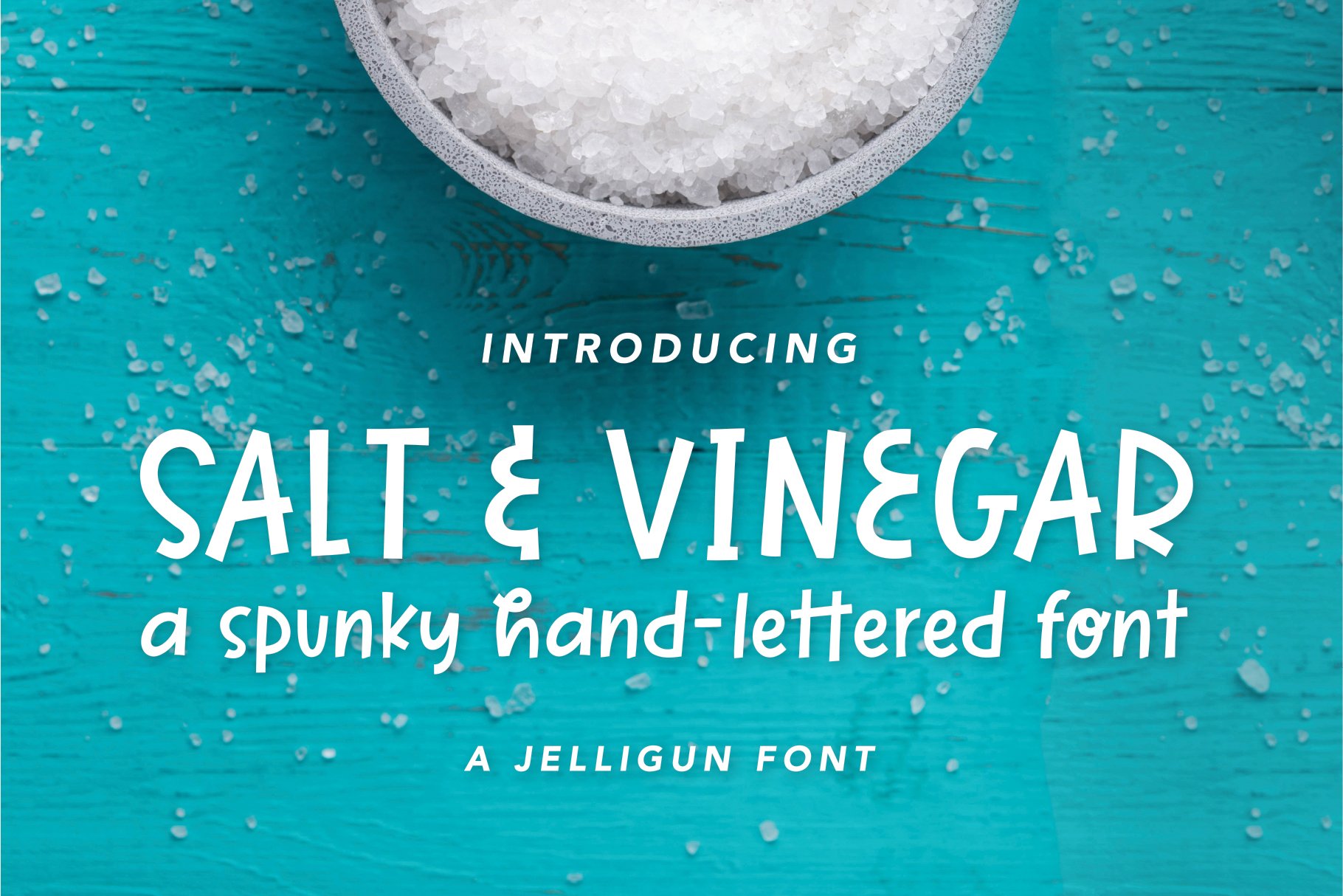 Salt & Vinegar | A Spunky Block Font cover image.