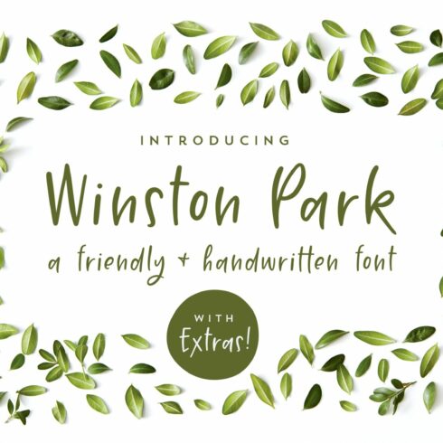 Winston Park | A Handwritten Font cover image.