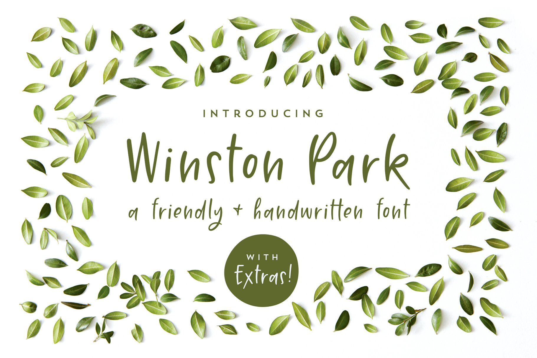 Winston Park | A Handwritten Font cover image.