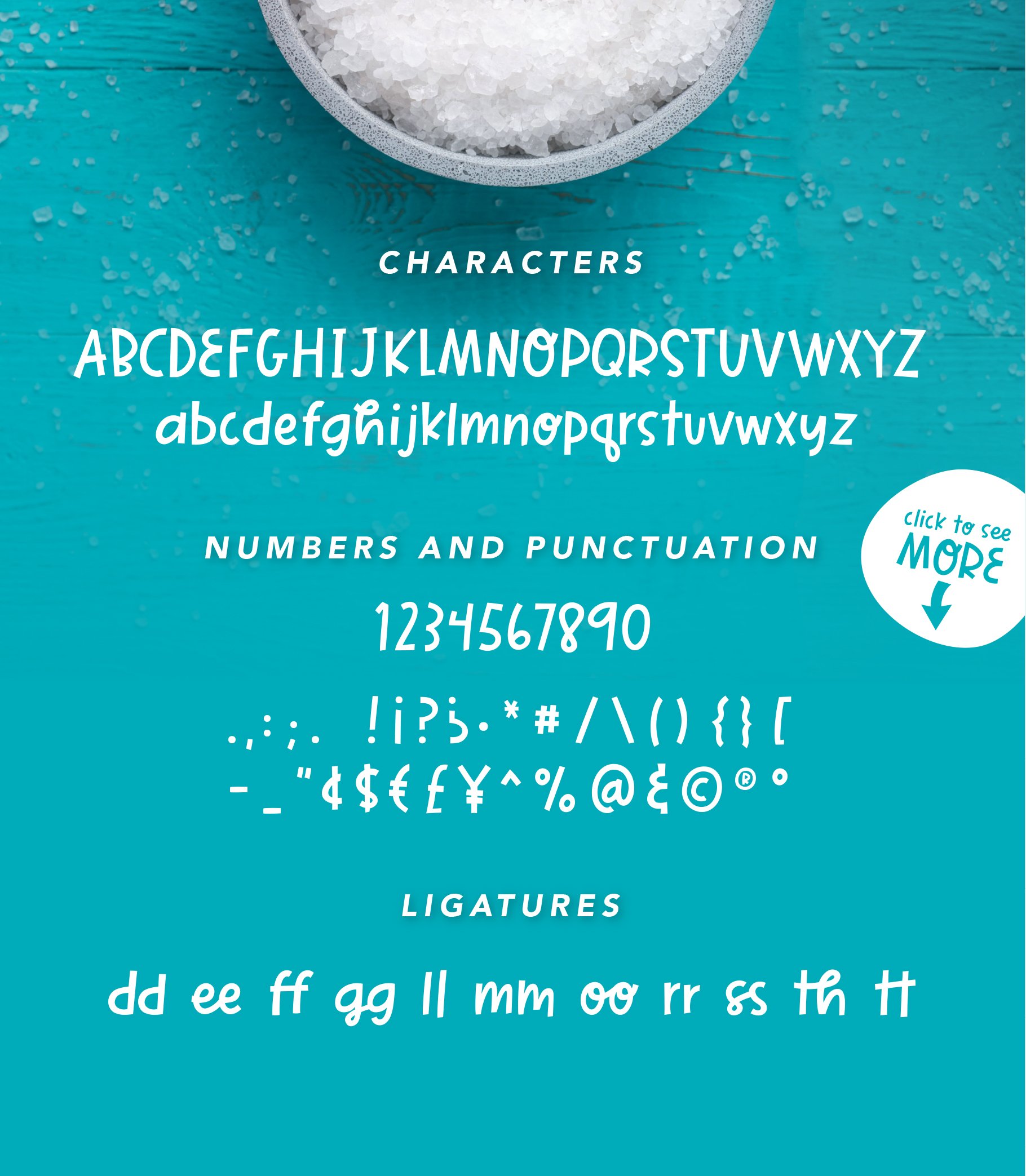 Salt & Vinegar | A Spunky Block Font preview image.
