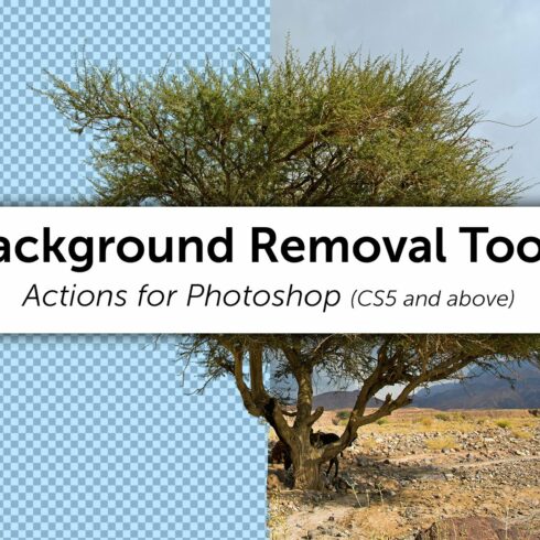 Background Removal Toolscover image.