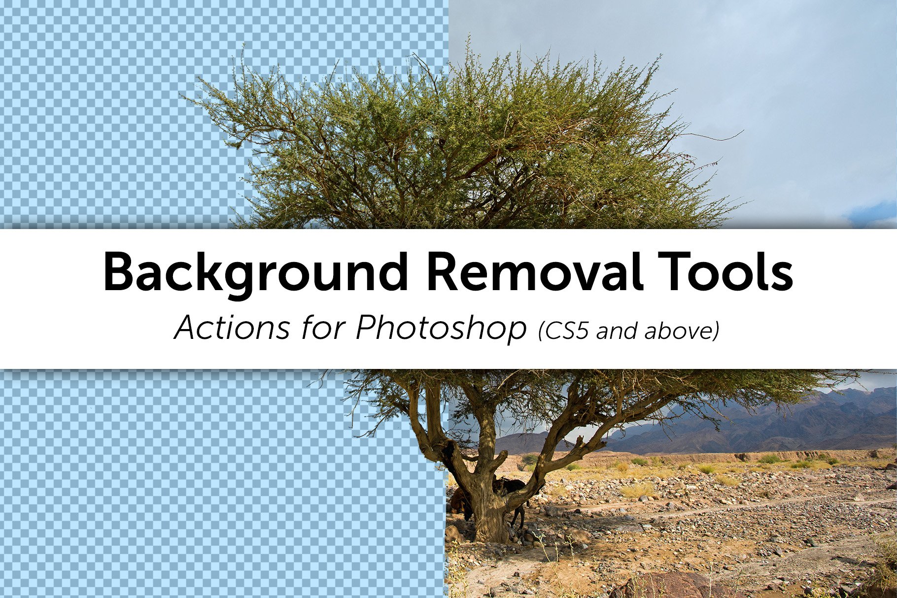 Background Removal Toolscover image.