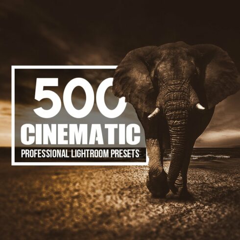 Cinematic - 500 Lightroom Presetscover image.