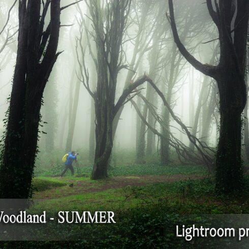 Magic woodland-SUMMER for Lightroomcover image.