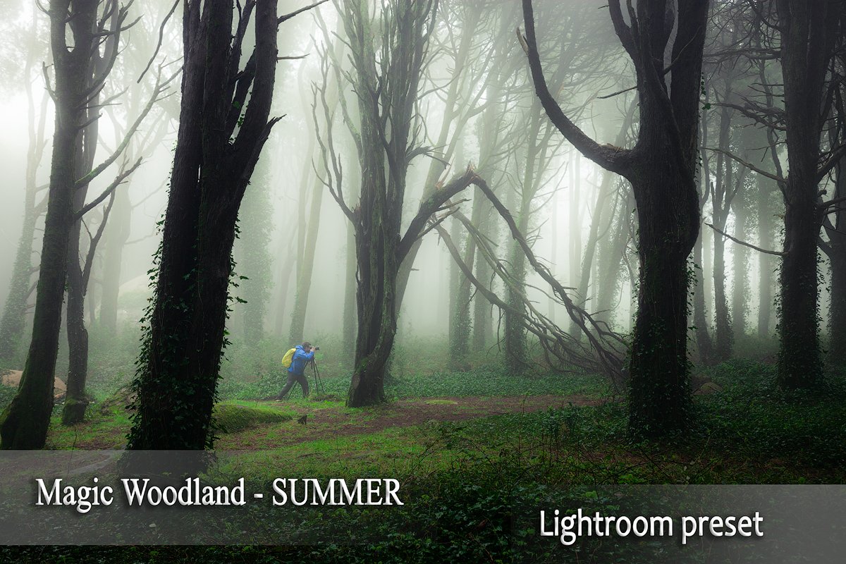 Magic woodland-SUMMER for Lightroomcover image.