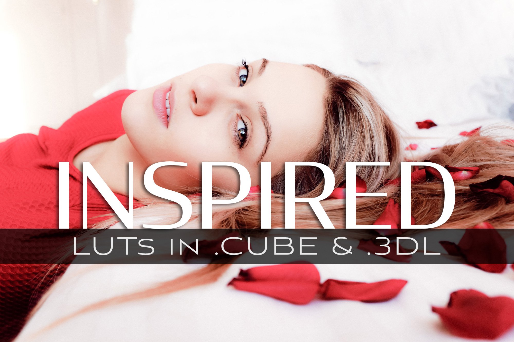 3d LUTs - Inspiredcover image.