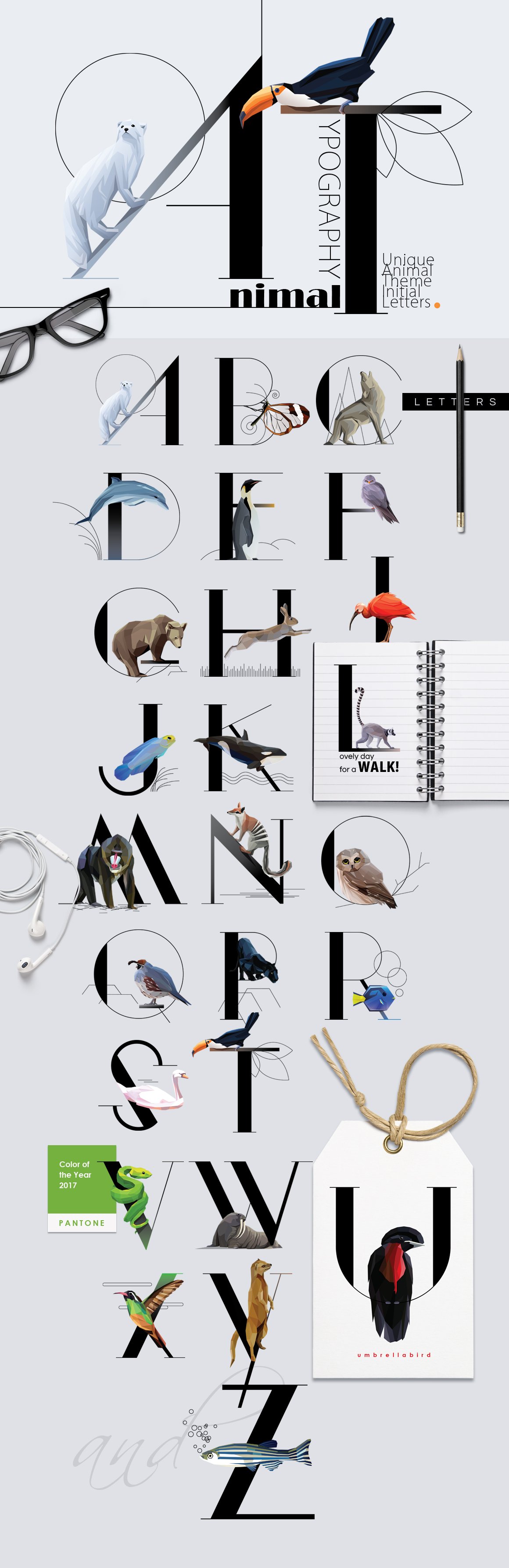 Animal Typography cover image.