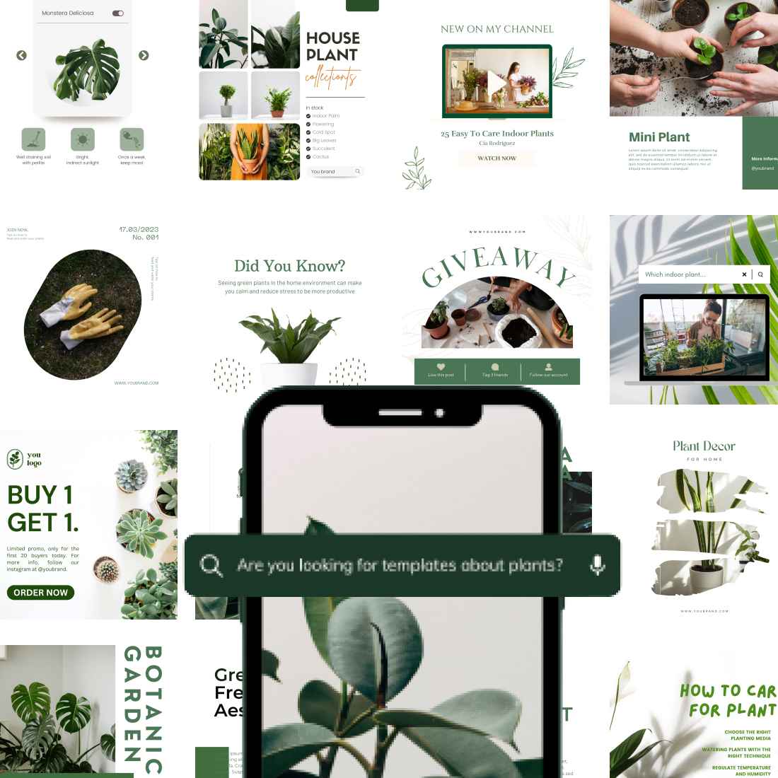 85 PLANT HOUSE TEMPLATE INSTAGRAM ONLY $7 cover image.