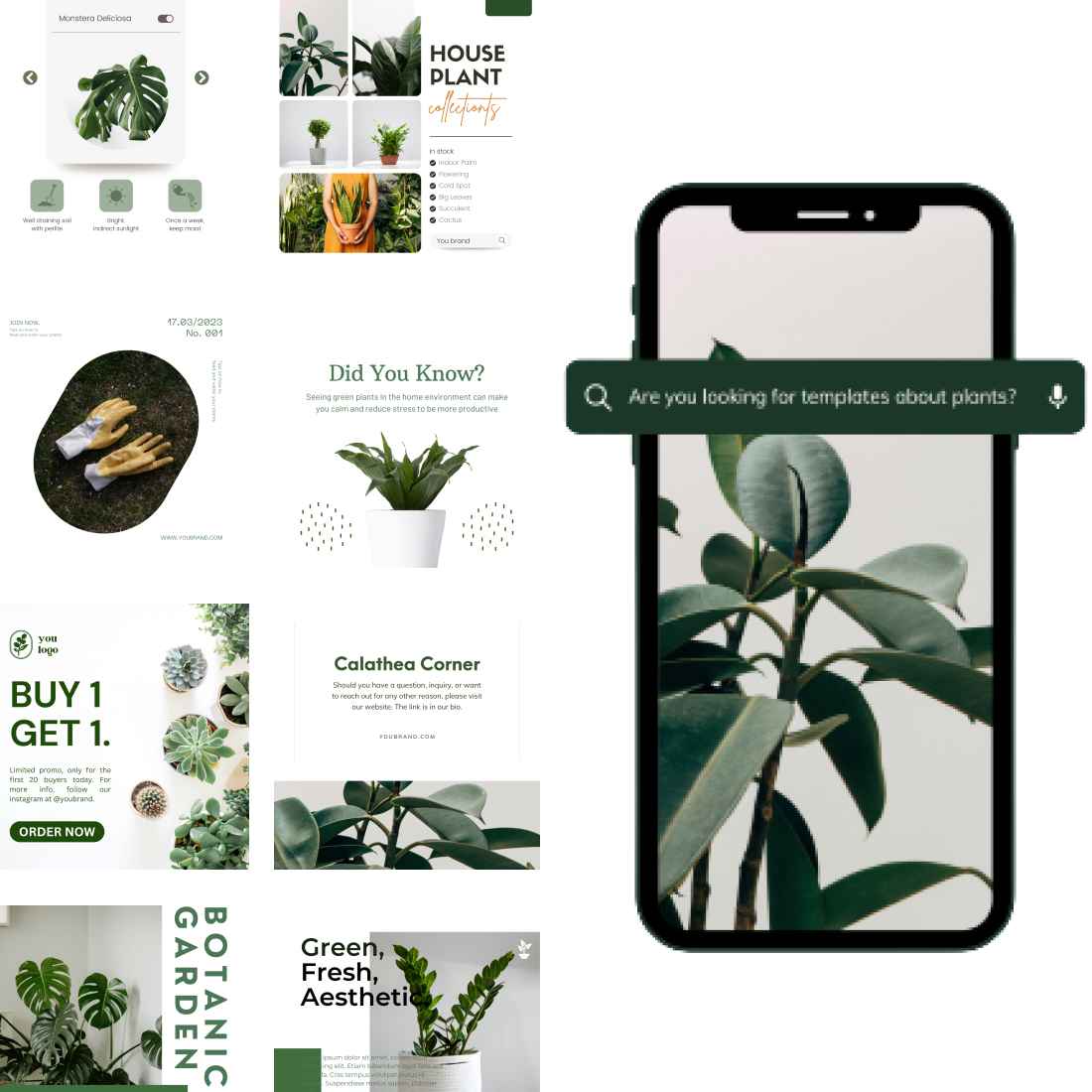 85 PLANT HOUSE TEMPLATE INSTAGRAM ONLY $7 preview image.