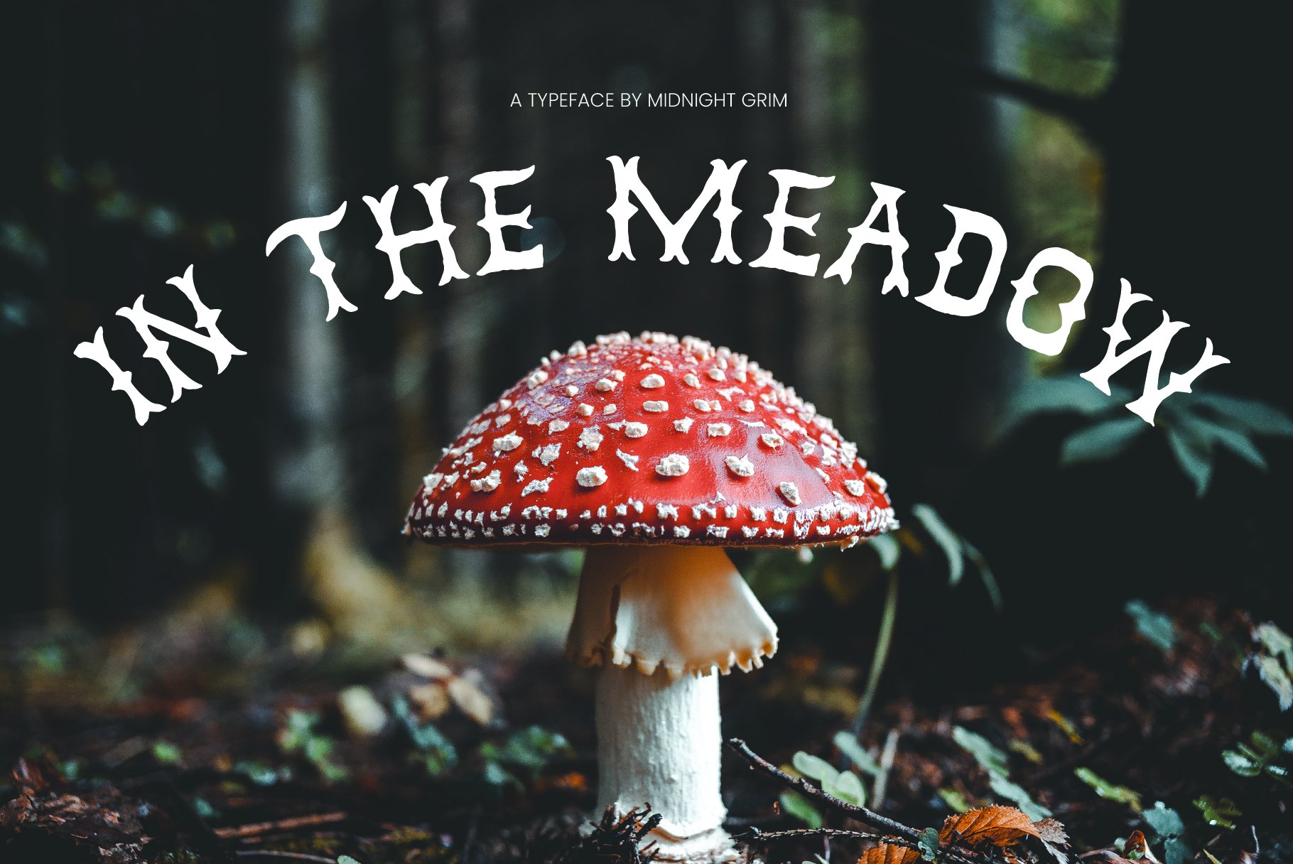 In the Meadow cover image.