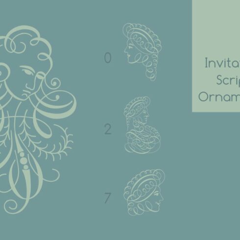 Invitation Script Ornaments Pack cover image.