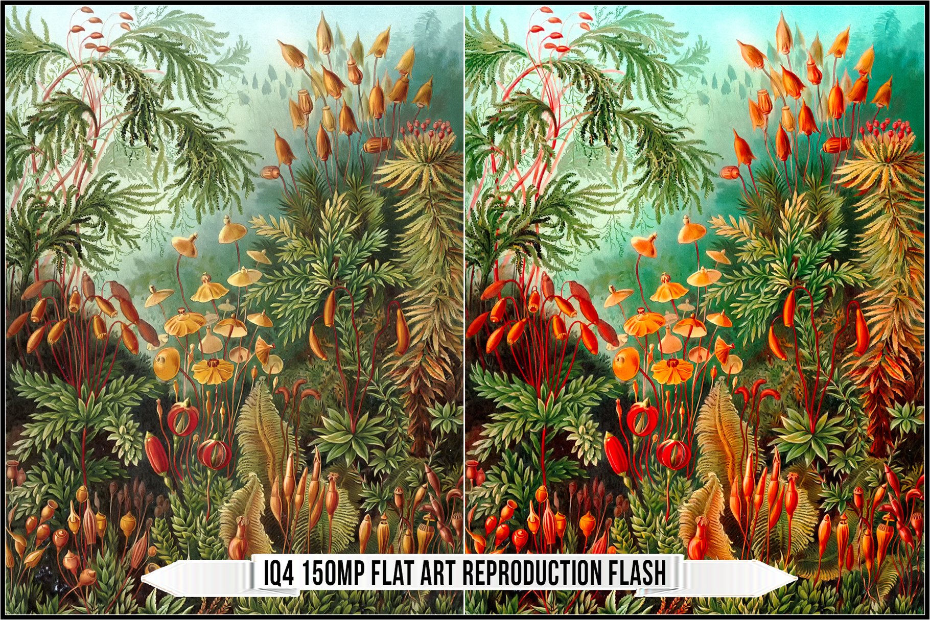 iq4 150mp flat art reproduction flash 202
