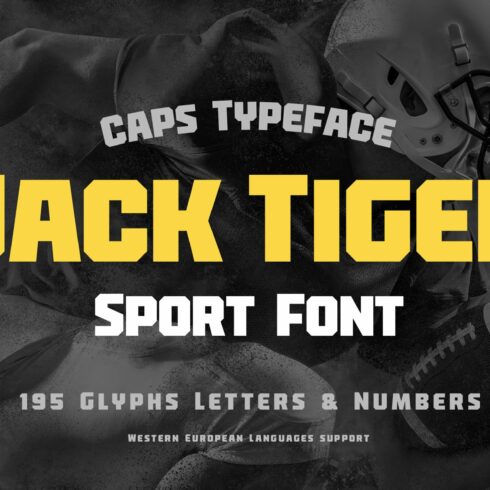 Jack Tiger Sport Font cover image.