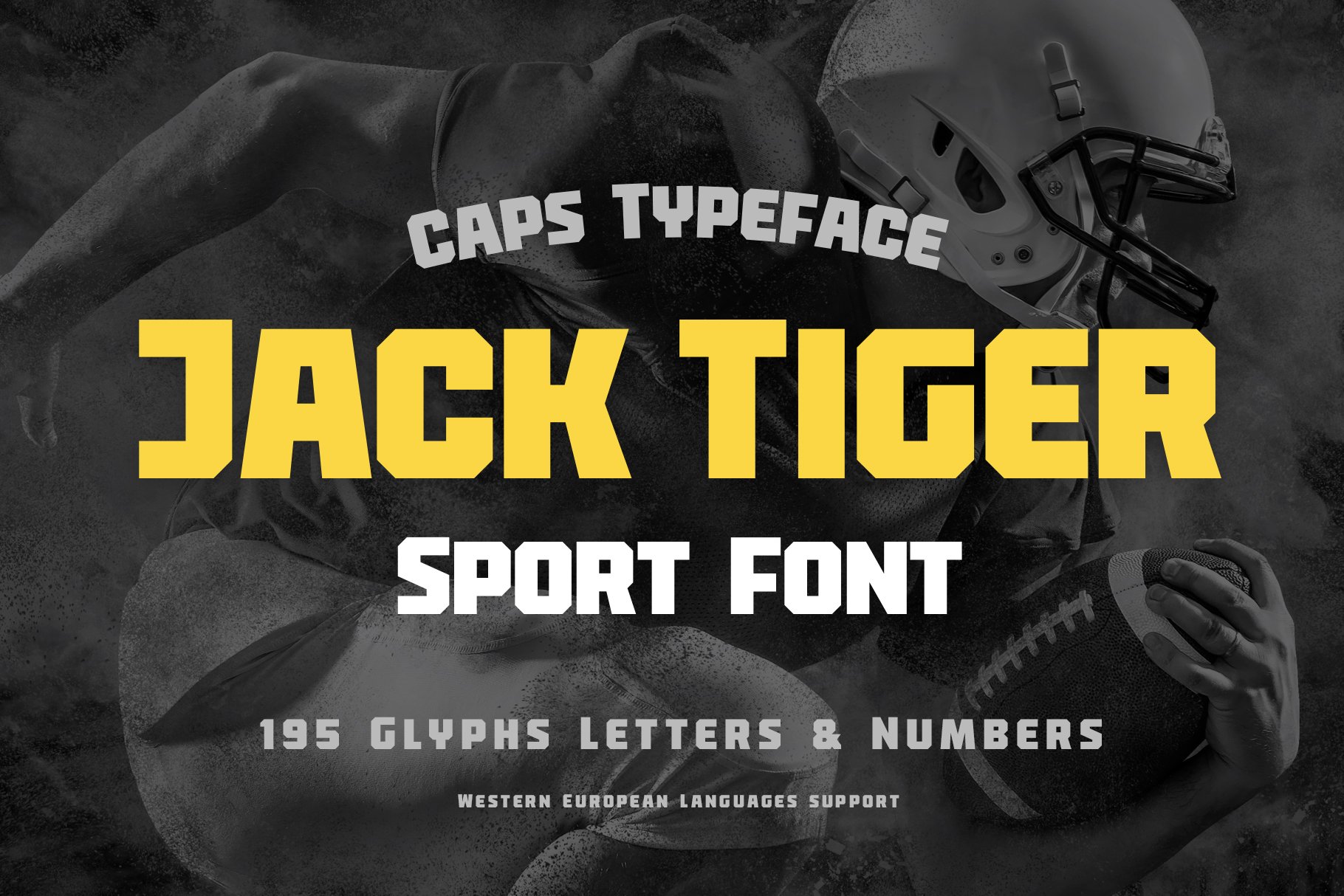 Jack Tiger Sport Font cover image.