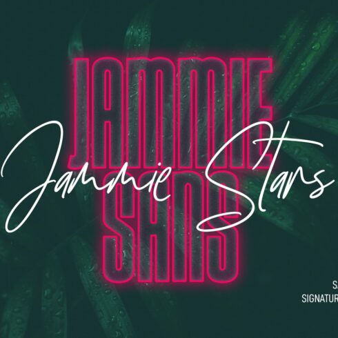 Jammie Stars Signature Script Sans cover image.