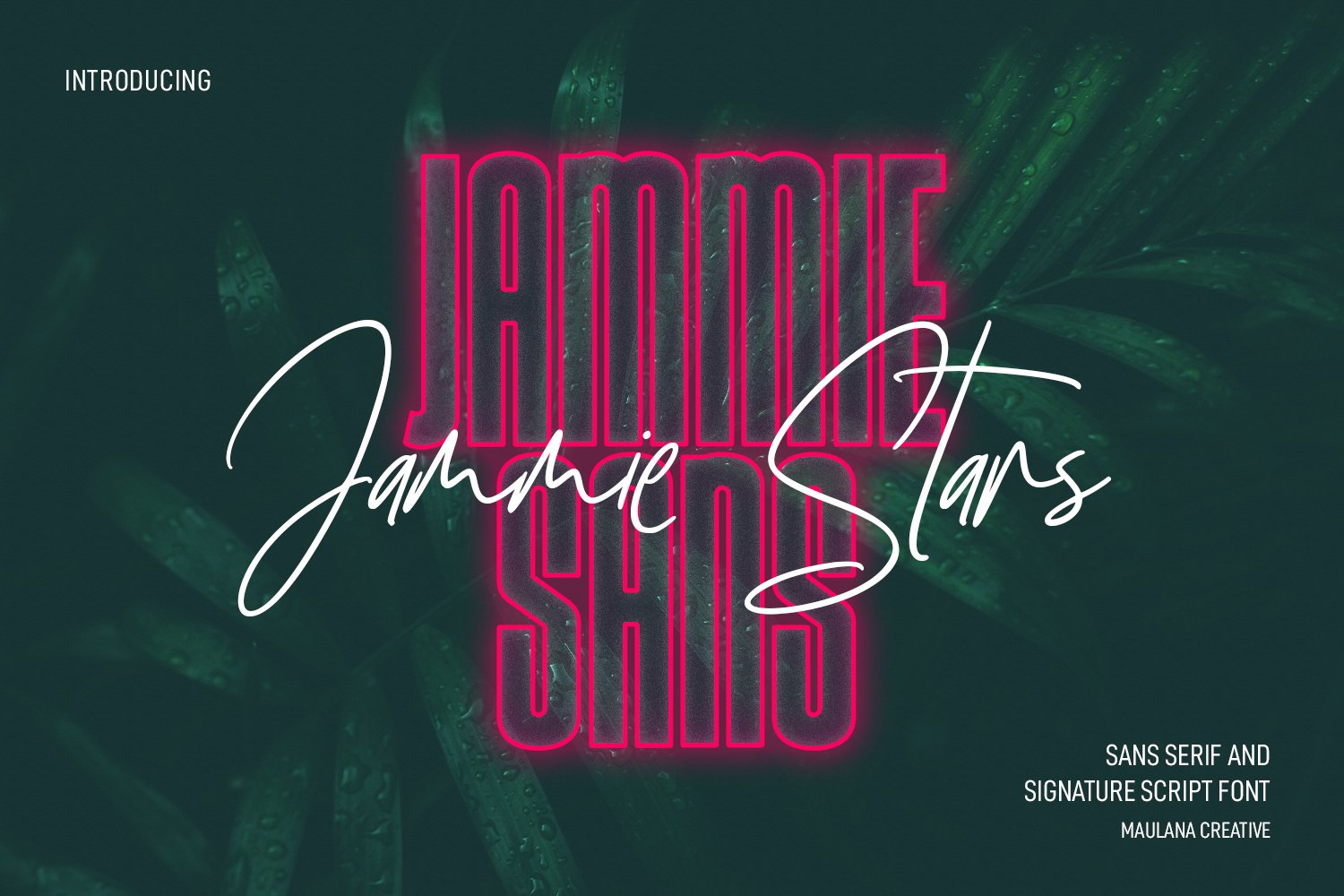 Jammie Stars Signature Script Sans cover image.