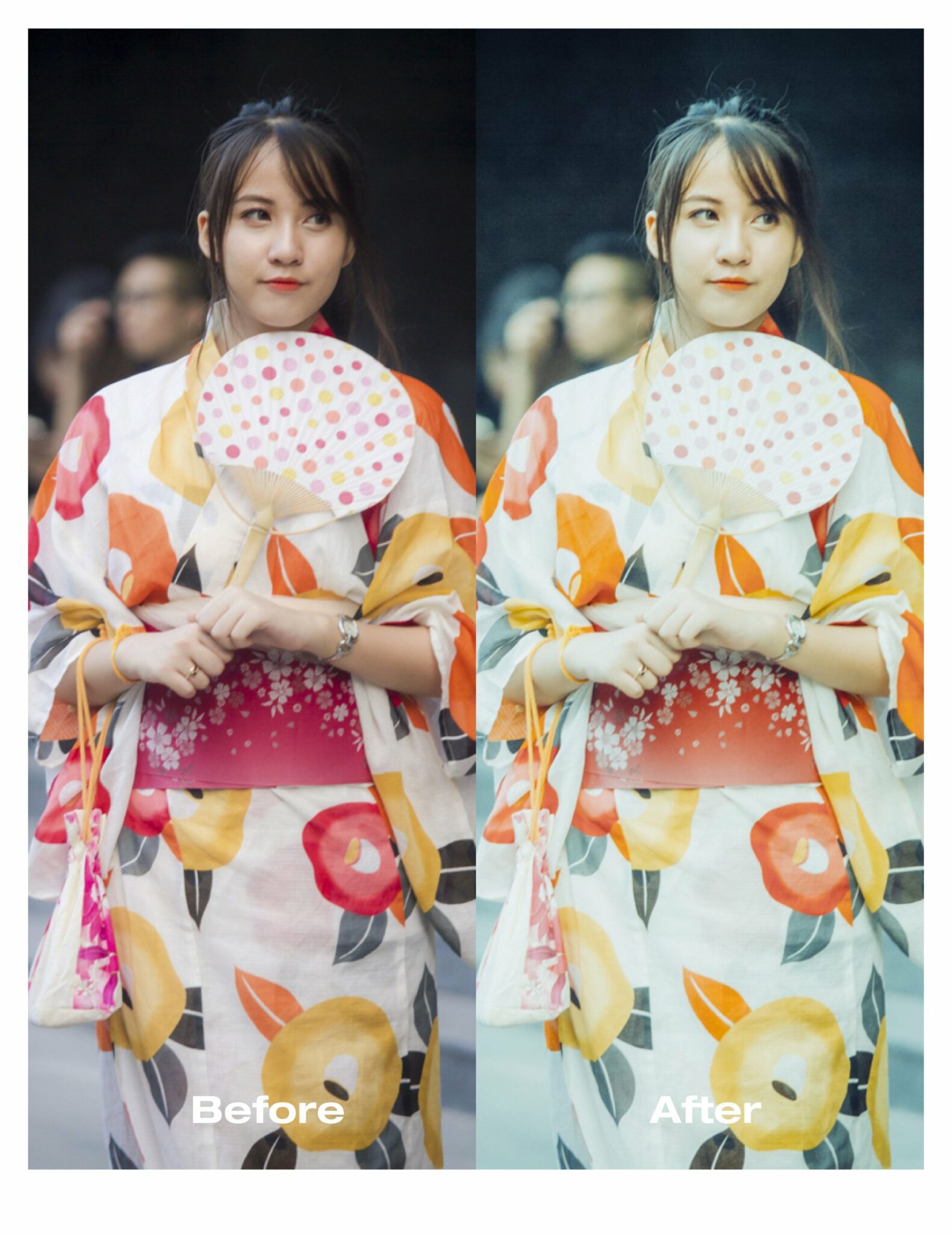 Japanese Mood Lightroom Presets MasterBundles