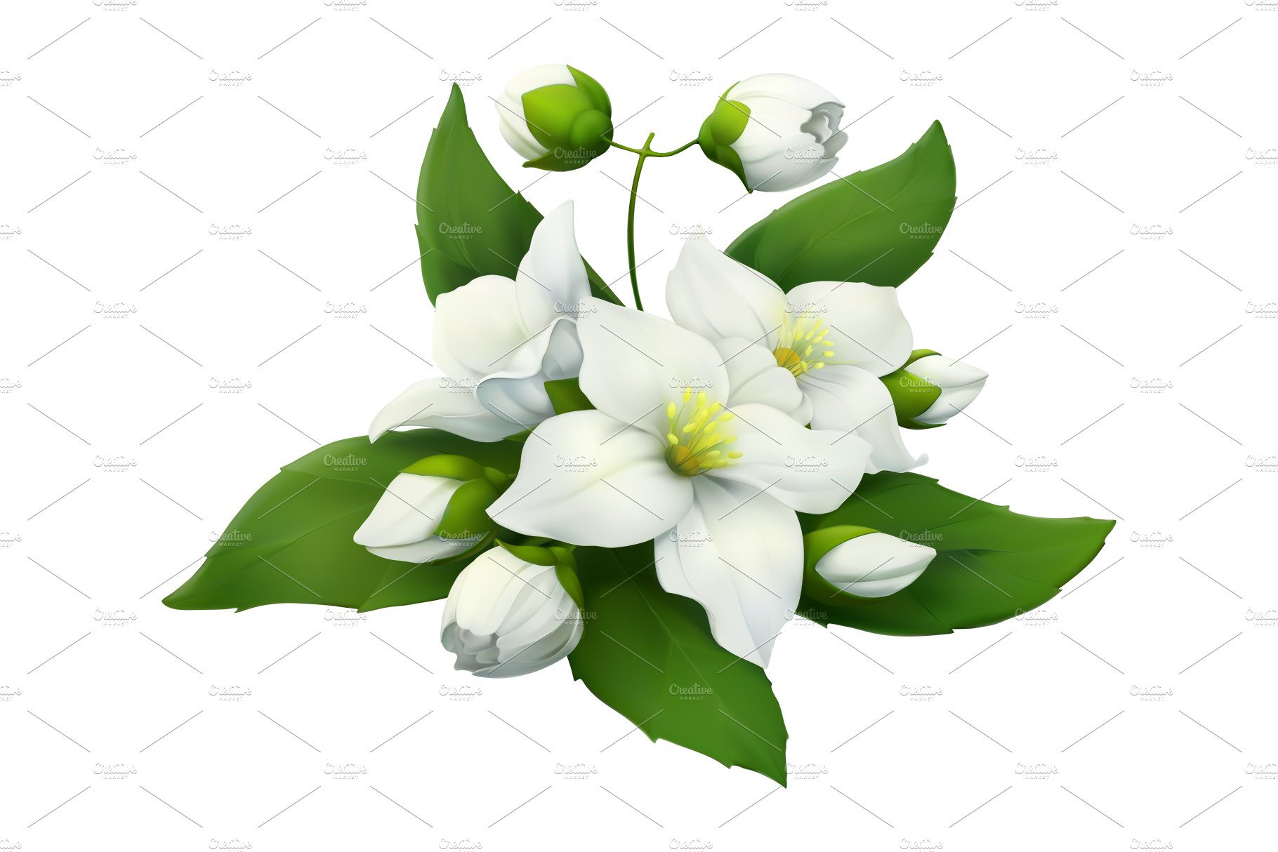 Bouquet of white flowers with green leaves.