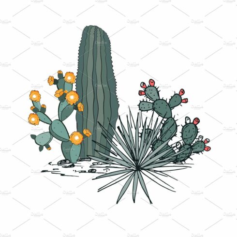 Cactus plant with yellow flowers on a white background.