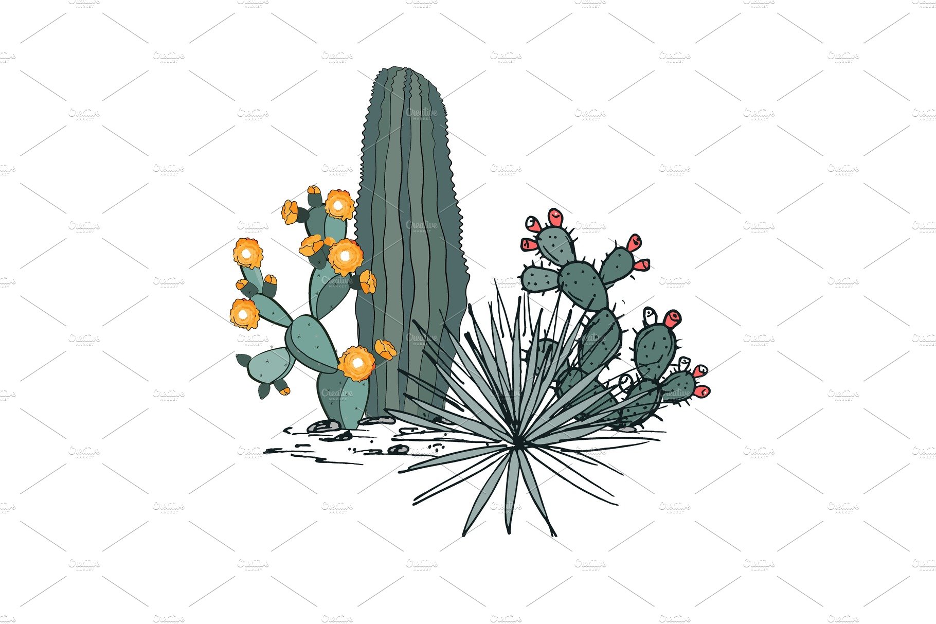 Cactus plant with yellow flowers on a white background.