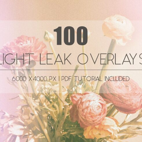 100 Retro Light Leak Overlayscover image.