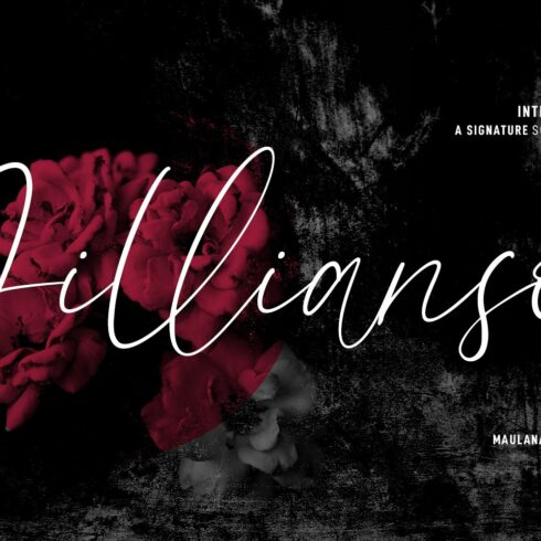 Jillianson Fancy Signature Font cover image.