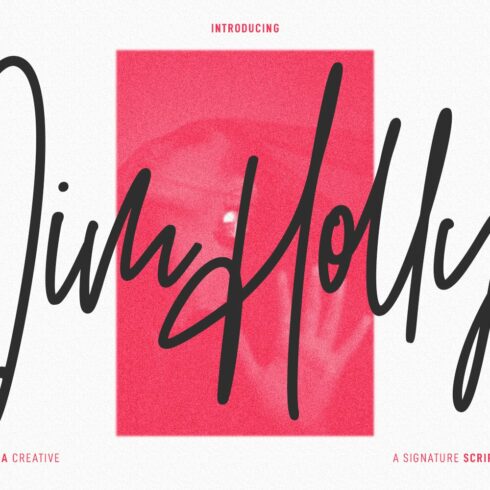 Jim Holly Signature Script Font cover image.