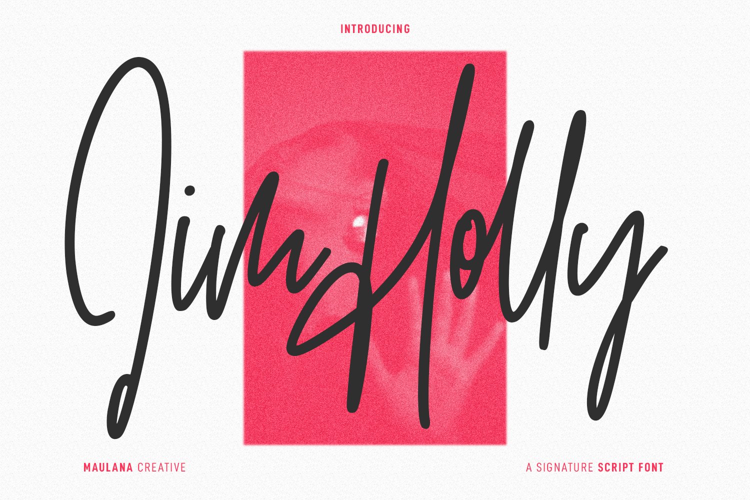 Jim Holly Signature Script Font cover image.