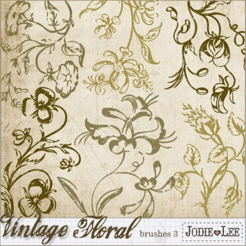 Vintage Floral Brushes 3cover image.