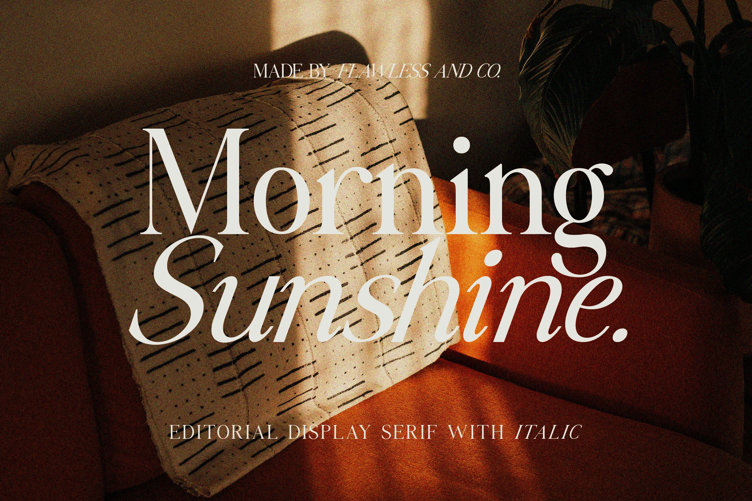 Morning Sunshine // Editorial Serif cover image.