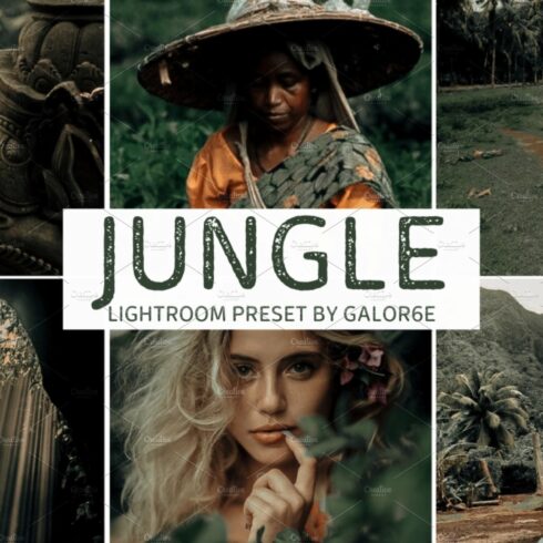 Lightroom Preset JUNGLE by GALOR6Ecover image.