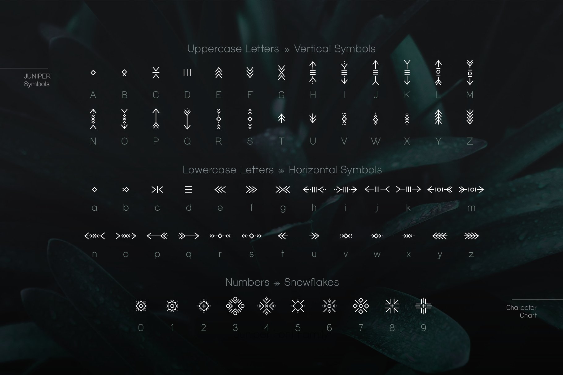 juniper display symbol chart 383