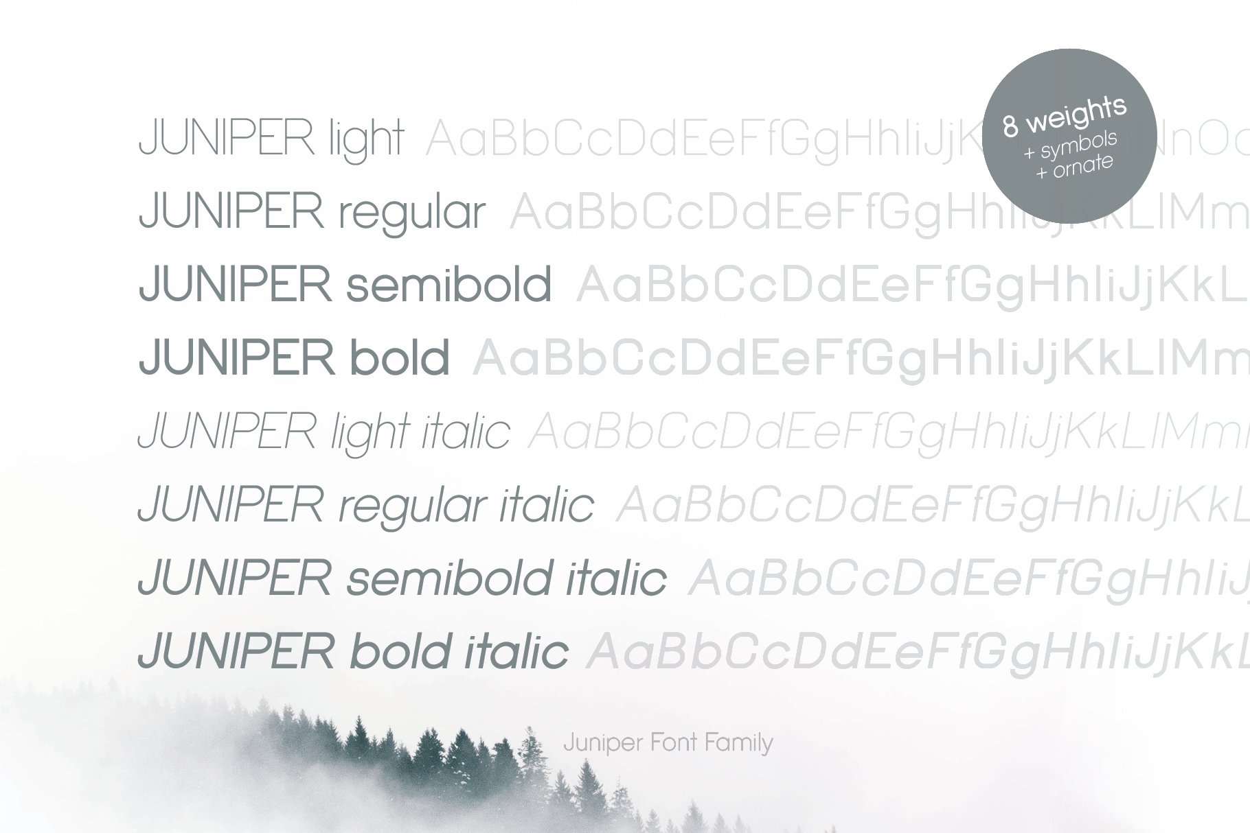 Juniper - Folk Font Family + Symbols preview image.