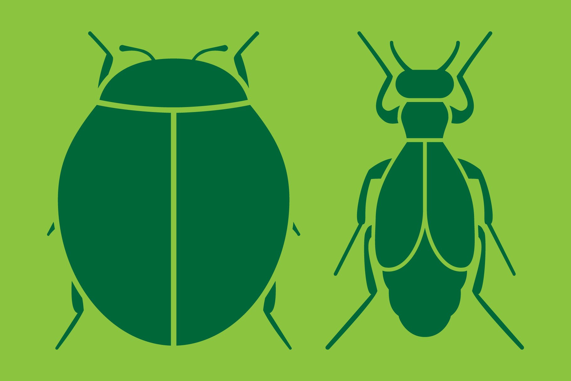 just bugs banners 04 267