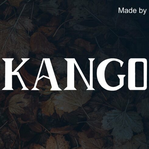 kango cover image.