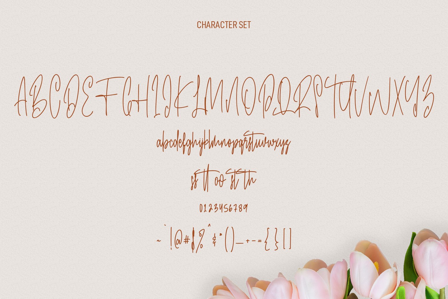 katty wells tall signature script font 8 728