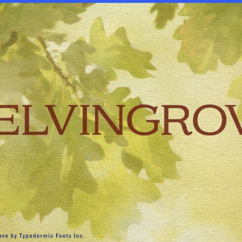 Kelvingrove cover image.
