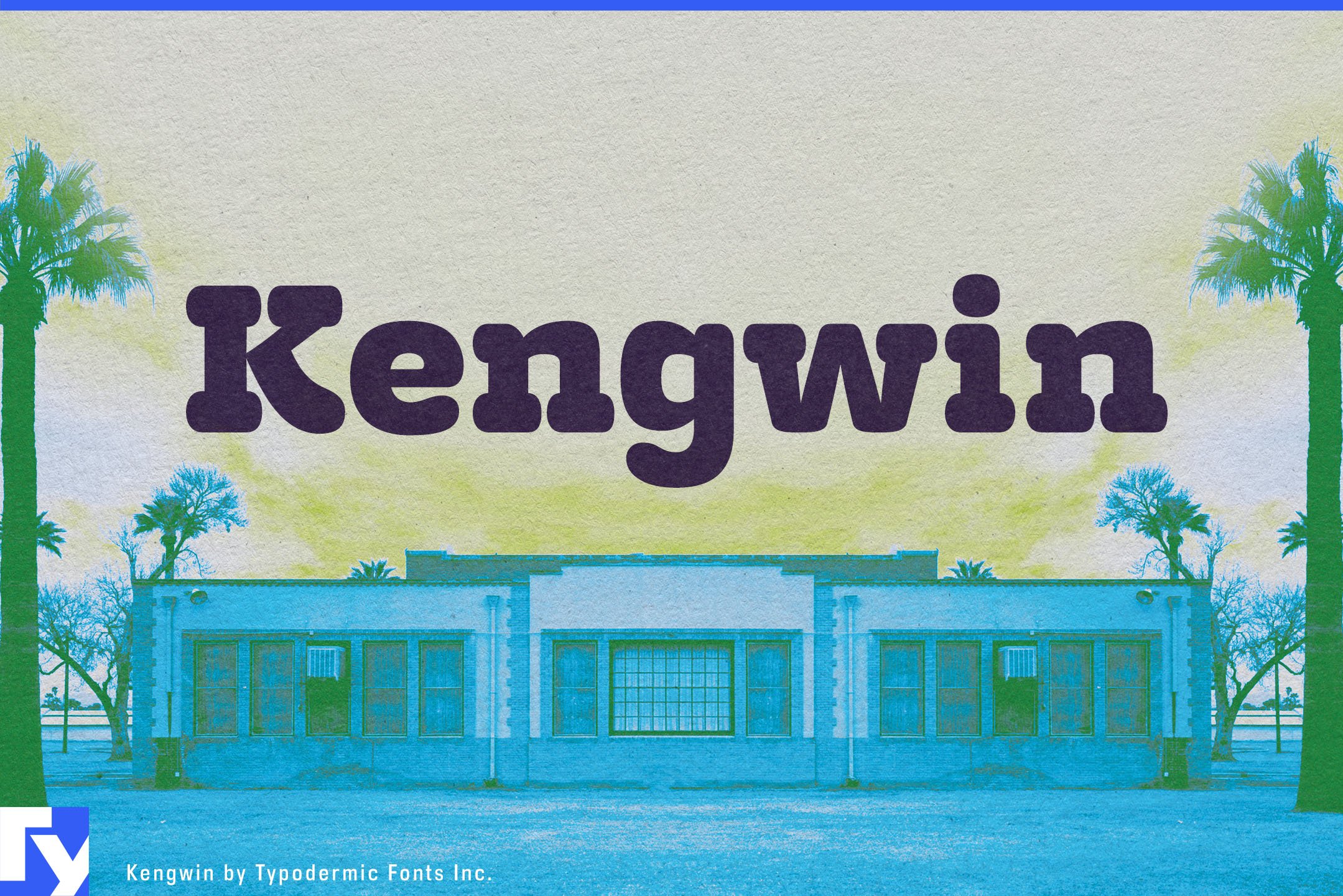 Kengwin cover image.